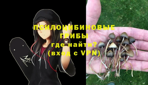 не бодяженный Верхний Тагил